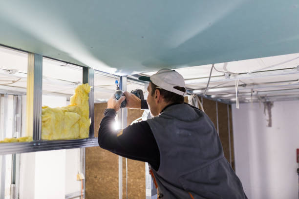 Types of Insulation We Offer in Whitemarsh Island, GA
