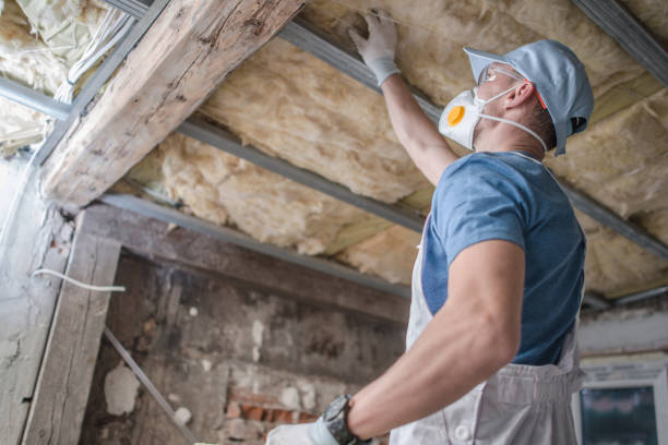 Best Insulation for Specific Applications in Whitemarsh Island, GA