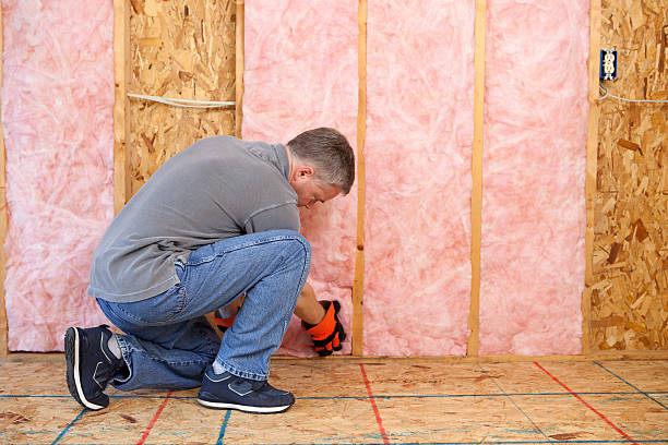 Best Insulation Maintenance and Repair in Whitemarsh Island, GA