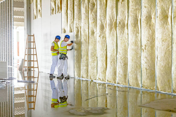 Best Geographic-Specific Insulation Services in Whitemarsh Island, GA